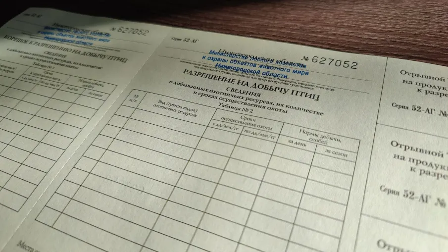 Нижегородский Минлесхоз 20 марта начинает выдавать разрешения на добычу пернатой дичи